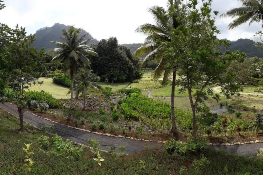 Studio Bord De Mer Fare Tahitea Pension Taputapuapea Exteriör bild